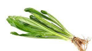 Image of Thai Culantro - Pa Chi Fa Lan 250gm±/pack (sold per pack) from Supplybunny.com