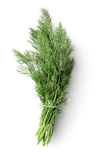 Image of Dill 15cm x 10cm (sold per box) from Supplybunny.com