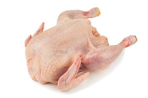 Image of Frozen Chicken Carcass (sold per kg) from Supplybunny.com