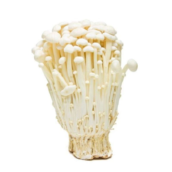 Enoki Wholesale RM0.96/pack | KL Delivery