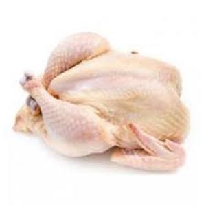 Image of Frozen Spring Chicken 600g (2kg/pack) (sold per pack) from Supplybunny.com