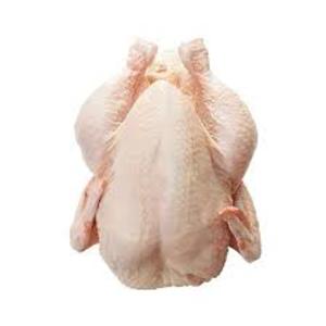 Image of Chicken Spring (cleaned no head no feet) 950g-1.60kg per bird (10 birds per bag) from Supplybunny.com