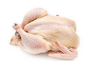 Image of Chicken Cut 1.5-1.7kg/nos (sold per nos) from Supplybunny.com