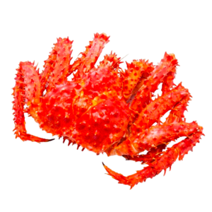 Image of Cooked King Crab 1/2 Cut 500g/pack (sold per pack) from Supplybunny.com