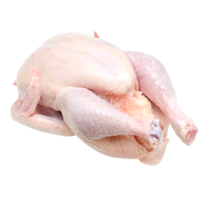 Image of Spring Chicken 500-600g/nos from Supplybunny.com