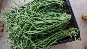 Image of Organic Long Bean 3kg/box (sold per kg) from Supplybunny.com