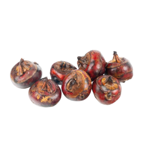 Image of Waterchesnut (sold per kg) from Supplybunny.com