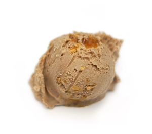 Image of Peanut Butter Gelato 5L/tub (sold per tub) from Supplybunny.com
