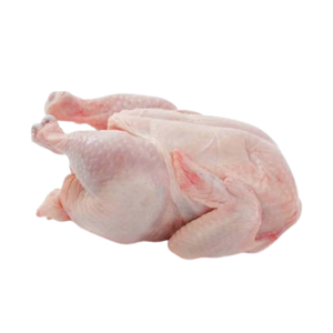 Image of Chicken Spring 800g-900g/nos (20 birds per gunny) from Supplybunny.com