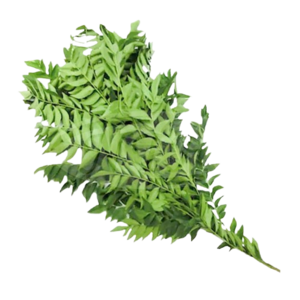 Image of Curry Leaves, Daun Kari 200g/bundle (sold per bundle) from Supplybunny.com