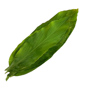 Image of Daun Kunyit 150g/bundle (sold per bundle) from Supplybunny.com