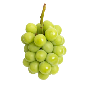 Image of Shine Muscat Seedless Green Grapes (sold per kg) from Supplybunny.com