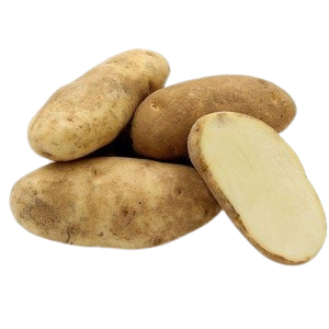 Image of Russet Potato 22.5kg/ctn (sold per carton) 110pieces - PREORDER from Supplybunny.com