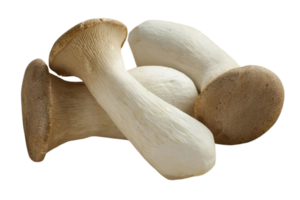 Image of King Oyster Mushroom 200g/pack (sold per pack) from Supplybunny.com