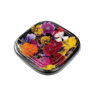 Image of Mix Edible Flowers (Dianthus & Viola) (sold per box) from Supplybunny.com