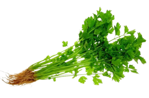 Image of Chinese Parsley (sold per kg) from Supplybunny.com