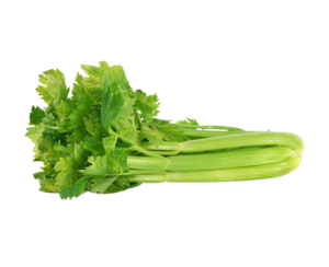 Image of Australia Celery 15kg/ctn (sold per carton) from Supplybunny.com